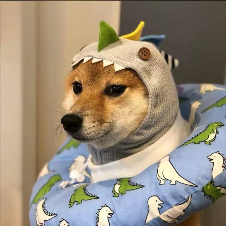 飞锅之王的头像-凌貓博客